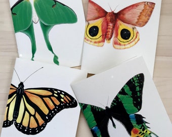 Lepidoptera notecards - set of 4 blank cards of moths and butterflies