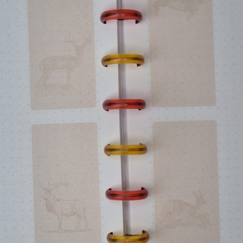 May include: A notebook with a clear spine and red and yellow plastic rings. The pages are light beige with a dotted pattern and deer illustrations. The notebook is open, showing the inside pages.
