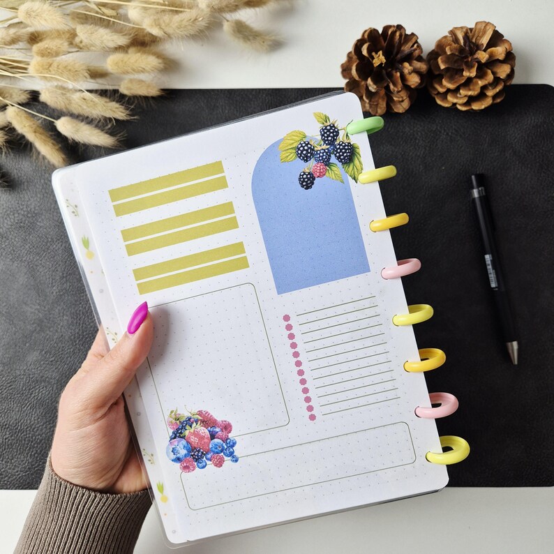 May include: A disc-bound planner insert featuring a white dotted grid page with yellow horizontal bars, a blue arch shape, a pink bulleted list, and illustrations of blackberries, strawberries, and blueberries. The page has colourful plastic discs.