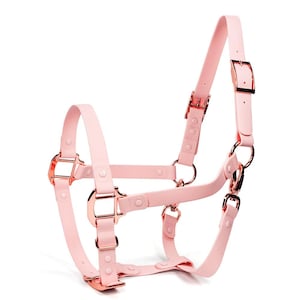 May include: A light pink harness featuring rose gold metal hardware, including buckles, D-rings, and adjustment sliders. The harness is constructed from smooth, matte-finish straps secured with matching pink rivets at various connection points.