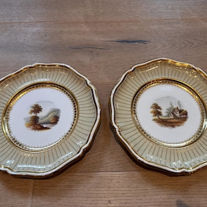 Davenport porcelain - Etsy 日本