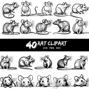 40 Rat Clipart Bundle, Rat SVG PNG DXF, Cute Mouse Vector, Digital Rat Illustration, Cricut Sublimation Files, Printable Rat Design
