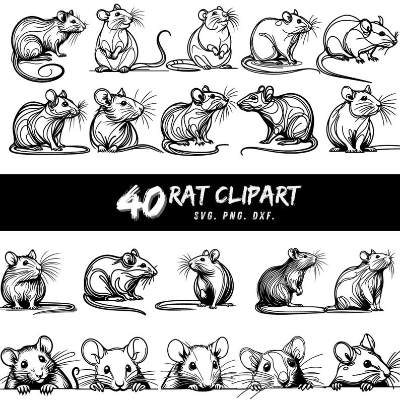 40 Rat Clipart Bundle, Rat SVG PNG DXF, Cute Mouse Vector, Digital Rat ...