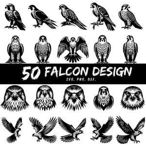 50 Falcon SVG Bundle, Hawk PNG DXF Clipart, Eagle Bird Vector, Flying Falcon Silhouette, Wildlife Cricut Cut File, Tattoo Design Digital Art