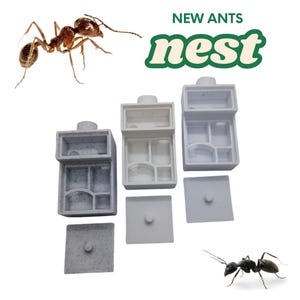 Professioneel mierenformicarium | Eco-koningin mierennest | Veilige habitat van PETG/PLA | Educatieve kit mierenboerderij