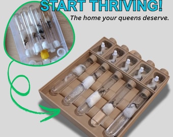 Ant Colony Starter Kit | AntMaister Queen Founding Station 5 Tubes Organizer