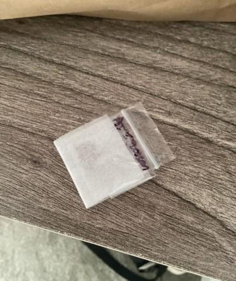 50pcs Yellow Purple Giant Teddy Bear Sunflower Seeds Nongmo Heirloom