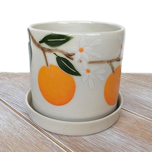 Könnte beinhalten: Ein Keramik-Blumentopf mit passender Untertasse. Der cremefarbene Topf zeigt ein Design aus Orangen, grünen Blättern und weißen Blüten. Der Topf ist zylindrisch und steht auf einer runden Untertasse, beide mit glänzendem Finish.