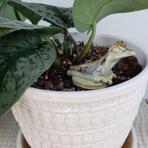 Puede incluir: Una figura de rana de cerámica en una maceta decorativa blanca con una planta verde. La rana está esmaltada en tonos de azul, marrón y beige. La maceta tiene un patrón texturizado y se asienta sobre un platillo blanco.