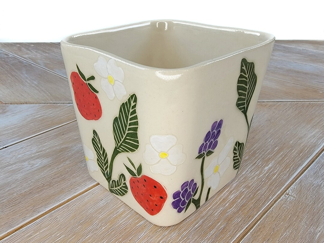 Strawberry Blackberry Raspberry Blueberry Planter Succulent Berry ...