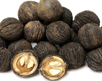 3 Pounds Black Walnuts in the Shell - 3lb Free Shipping