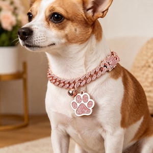 Könnte beinhalten: Ein kleiner Hund mit einem roségoldenen Kettenhalsband und einem passenden Pfotenabdruck-Anhänger. Das Halsband ist mit kleinen, funkelnden Steinen besetzt. Der Hund ist weiß und braun und hat einen konzentrierten Ausdruck.