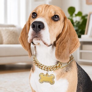 以下が含まれることがあります： 金色のチェーンカラーと骨型のタグをつけた、三毛のビーグル犬。カラーには、小さく透明なラインストーンがちりばめられています。犬は茶色と白の毛並みで、カメラを見ています。