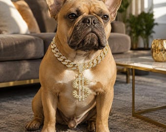 Könnte beinhalten: Ein hellbrauner French Bulldog sitzt auf einem Teppich und trägt eine goldfarbene Halskette mit einem Dollarzeichen-Anhänger. Der Hund befindet sich in einem gut beleuchteten Raum.