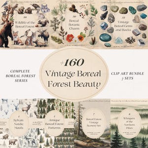 Ultieme digitale bundel boreaal bos – vintage dieren, planten, rotsen, landschappen, naadloze patronen, png-jpg, +160 ontwerpen, commercieel gebruik