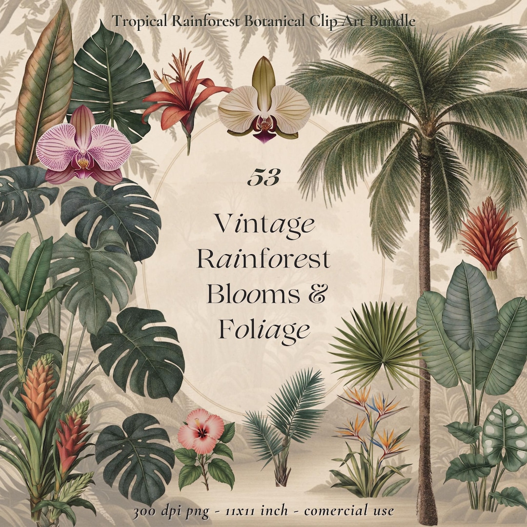 Vintage Rainforest Botanical Clip Art: Tropical Foliage PNG (commercial ...