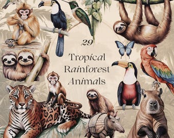 Vintage Rainforest Animals Clip Art: Tropical Wildlife PNG (Digital Download)
