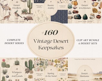 Conjunto de arte vintage del bioma del desierto: animales, plantas y patrones (PNG/JPG)