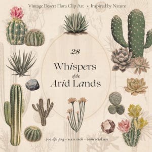 Imágenes prediseñadas de plantas del desierto vintage: cactus, suculentas, flores y rocas / PNG, 28 elementos, inspirados en ilustraciones botánicas, uso comercial