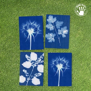 DIY Cyanotype Print Kit, Sun Printing Kit, Cyanotype Art, Solar Printing, DIY Solar Print