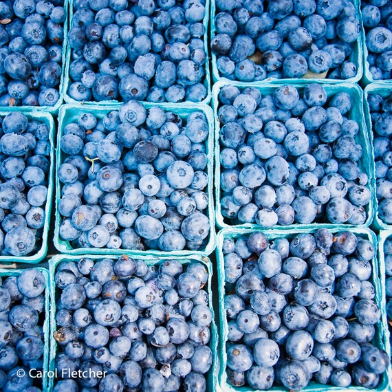 Blueberries Fruit Photography Blueberry Print Kitchen Etsy