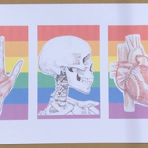 Hand, Head, Heart but Gay