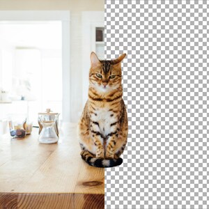 background removal, remove background, transparent png, white background, photo clipping, background remover, product background, headshot background, swap background, photoshop background, bulk background, black background, photo background edit