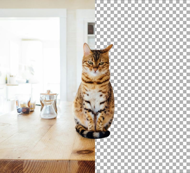 background removal, remove background, transparent png, white background, photo clipping, background remover, product background, headshot background, swap background, photoshop background, bulk background, black background, photo background edit