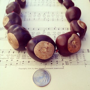 11 Buckeye Necklace - Ohio State University made using OHIO grown natural buckeye nuts Good Luck for your team Football Basketball