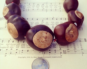 11 Buckeye Necklace - Ohio State University made using OHIO grown natural buckeye nuts Good Luck for your team Football Basketball