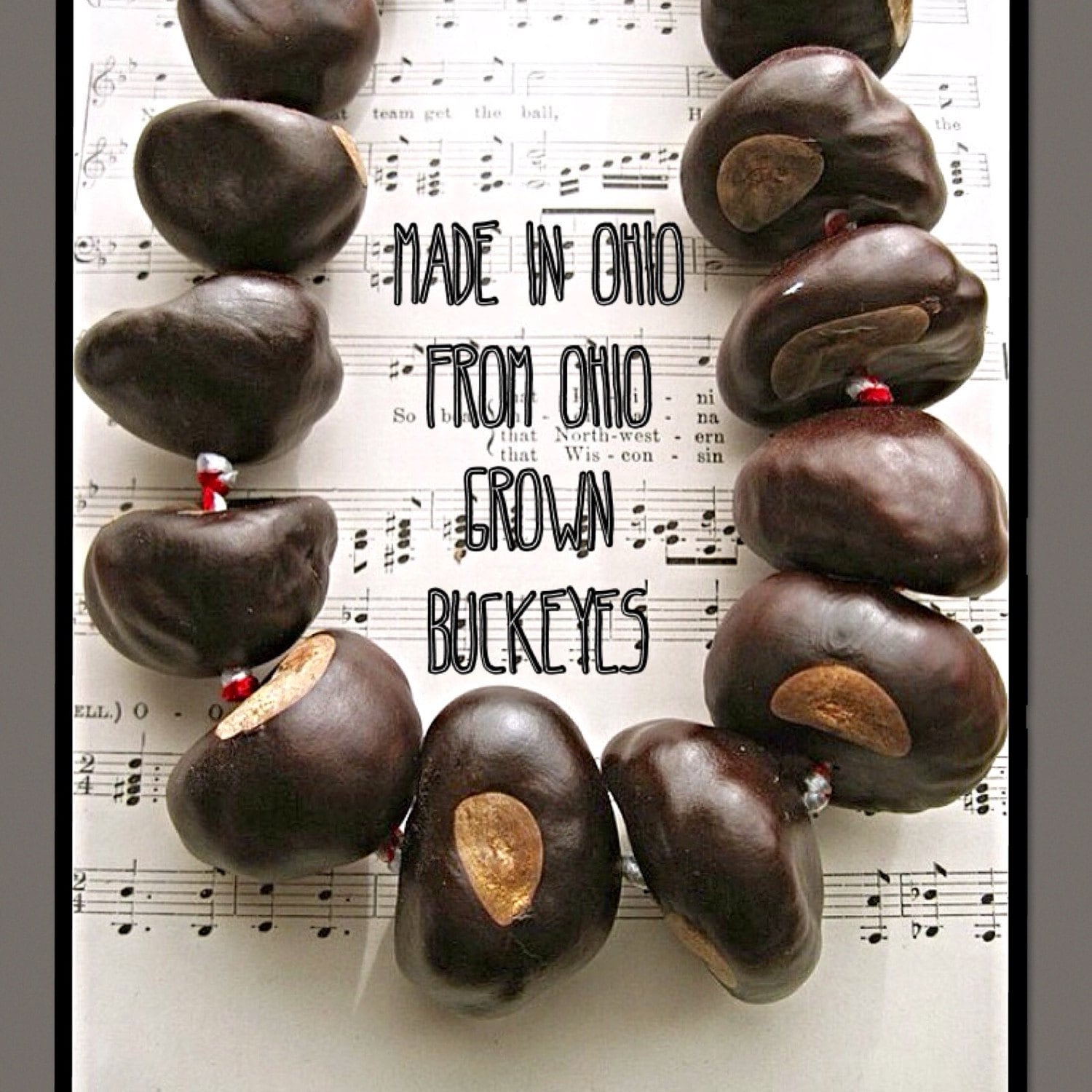 Big Buckeye Necklace - Ohio State University all natural buckeye nuts grown in Ohio