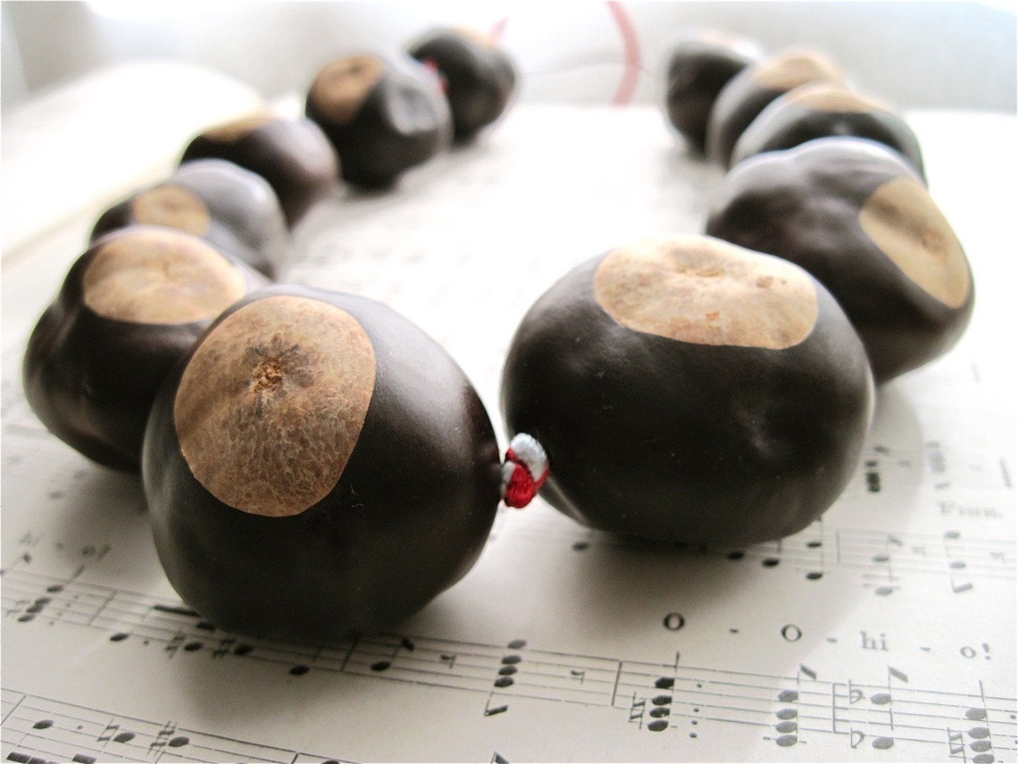 11 Buckeye Necklace Ohio State University made using OHIO | Etsy