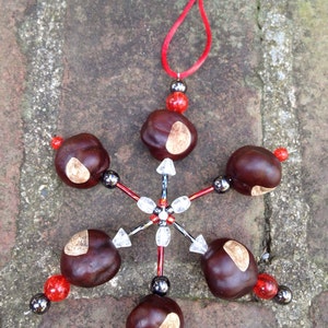 Buckeye Snowflake Ornament made with REAL Buckeye Nuts grown in Ohio image 7