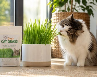 Indoor Cat Grass Seeds | Easy Grow Pet Grass | Cat Gift