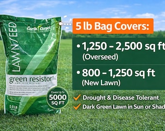 Semillas de festuca alta Green Resistor® / Semillas de césped resistentes a la sequía / Césped de bajo mantenimiento para jardines domésticos