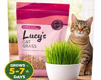 Semillas de hierba para gatos de interior / Hierba de rápido crecimiento para mascotas / Avena y centeno / Sin OMG