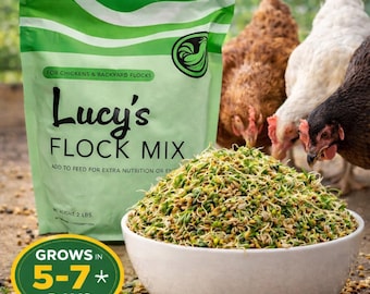 Mezcla de semillas para germinar pollos: verduras frescas para gallinas de traspatio