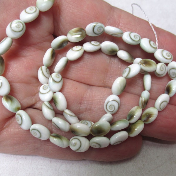 One,  16" stand of Shiva Eye Shell, PUFF, Oval Beads, 6x9mm