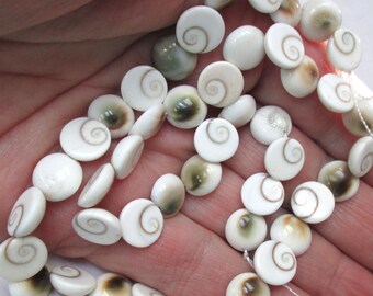 16" stand of Shiva Eye Shell, Domed, Disk Beads, 10mm