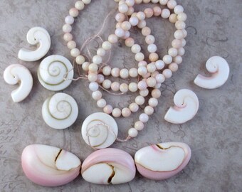 Pinky, Queen Conch Shell Beads + Shiva Eye Shell Sampling LOT