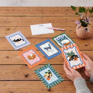 Jeu de cartes postales chats et livres | Paquet de six