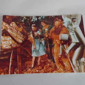 Vintage Wizard Of Oz Postcard For Crafts