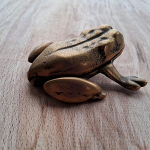 May include: A small, gold-colored frog figurine made of metal. The frog is sitting on a wooden surface.