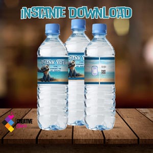 May include: Three water bottles with blue caps and labels. The labels feature a cartoon character on a beach scene with the text "THANK YOU FOR COMING TO MY PARTY!". The words "INSTANTE DOWNLOAD" are at the top.