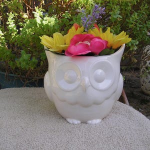 Ready  --  To  --  Ship  --  Glazed Stoutly Wise Owl Planter With Drain Hole & Drip Tray