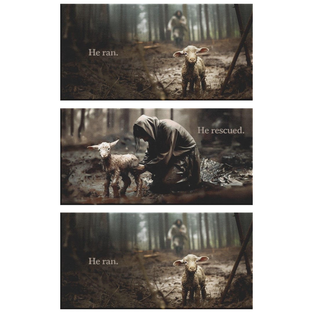 Jesus Christ in the Forest He Ran He Carried He Rescued the Lost Lamb ...