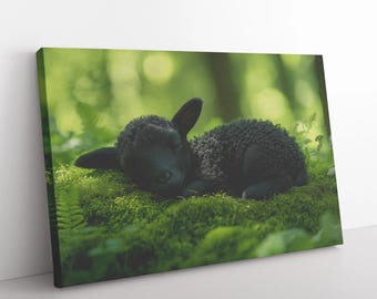 Lamb Resting in Forest Green Moss Canvas Art