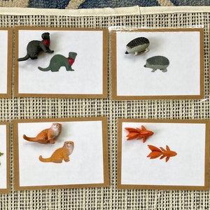 Exact bijpassende taalobjecten en digitale pdf-kaarten - huisdieren. Montessori-peuteractiviteit voor woordenschatontwikkeling. Dieren.