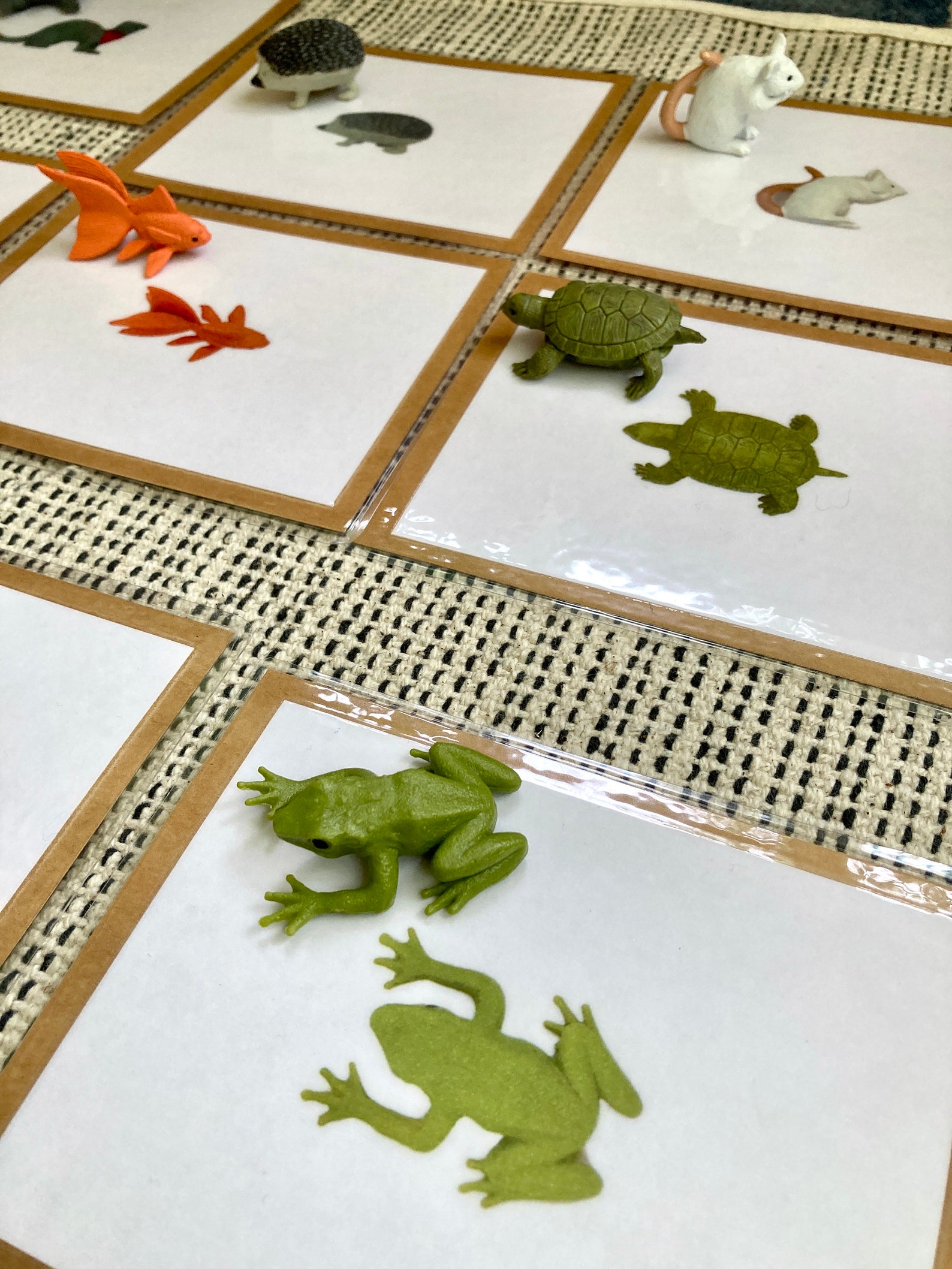 Montessori Pet Matching Game – Language Objects & Cards (digital PDF ...
