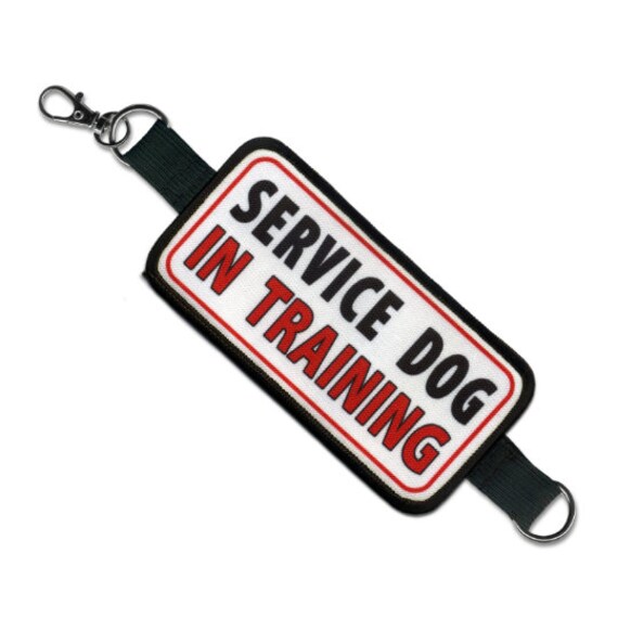 service dog in training velcro patch